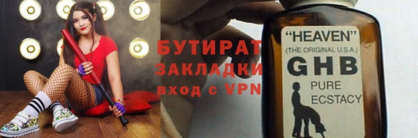 прущие грибы Елизово