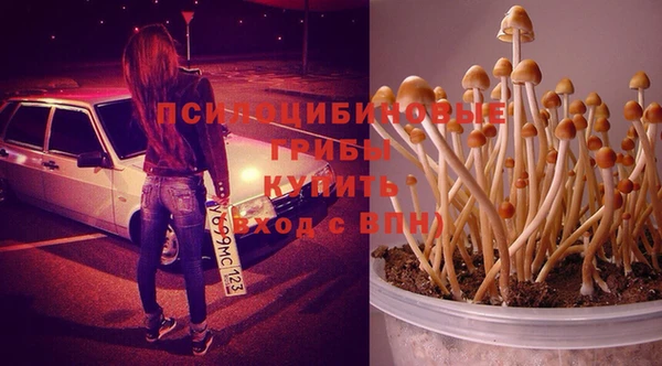 метамфетамин Дмитриев