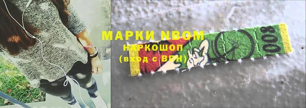 прущие грибы Елизово